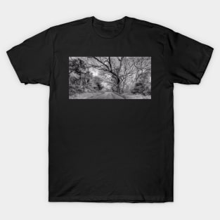 Hairy Man Road - Brushy Creek- Round Rock, Texas - Black and White T-Shirt